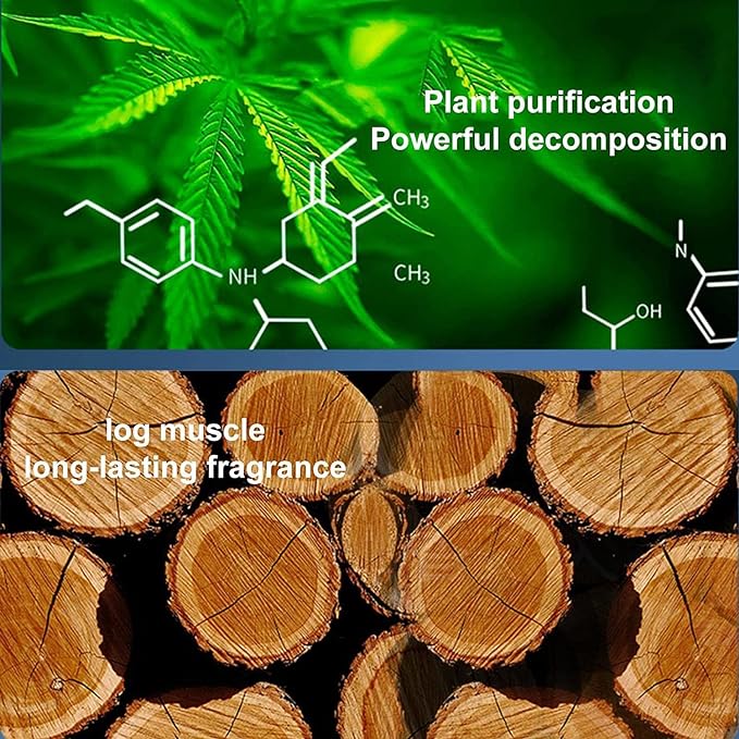 Solar Car Fragrance - Describings