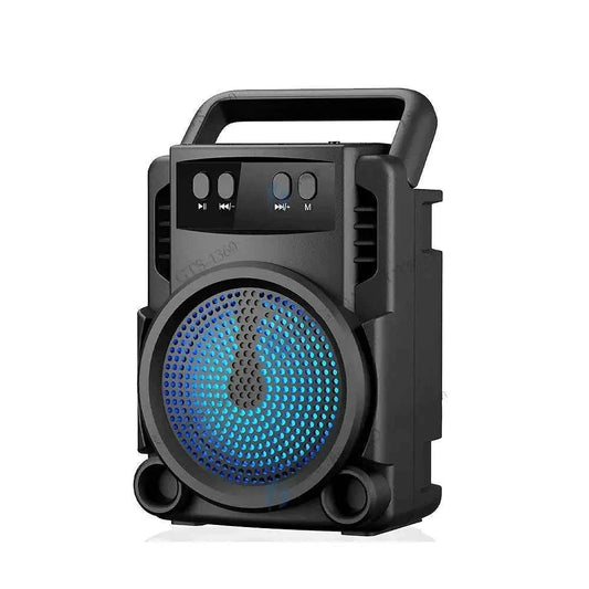 Professional Portable Speaker - Describings