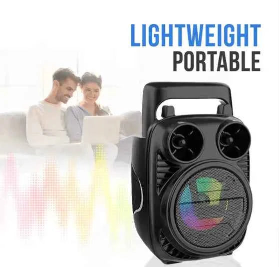 Outdoor Mini Speaker - Describings