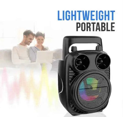 Outdoor Mini Speaker - Describings