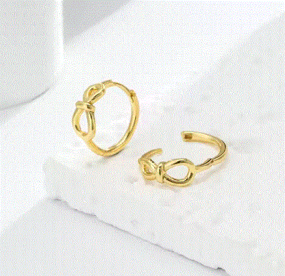 Women's Fashion Earrings - Describings