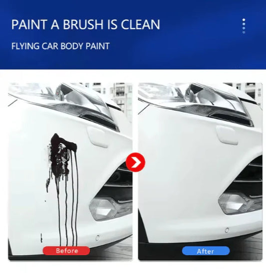 Paint Remover For Car (250ml) - Describings