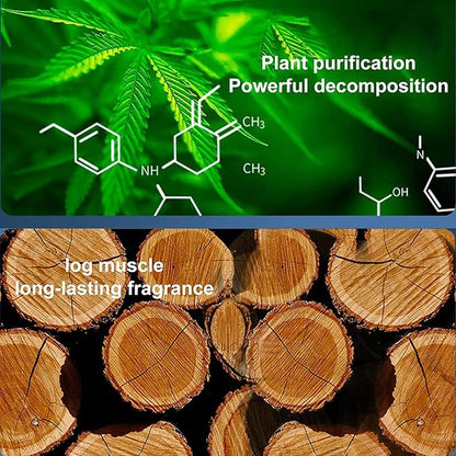 Solar Car Fragrance - Describings