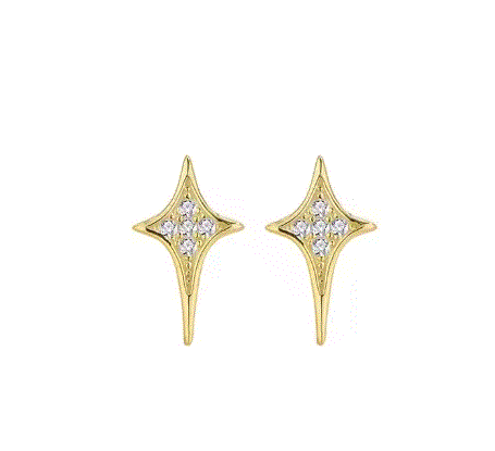 Women's Star Earrings - Describings