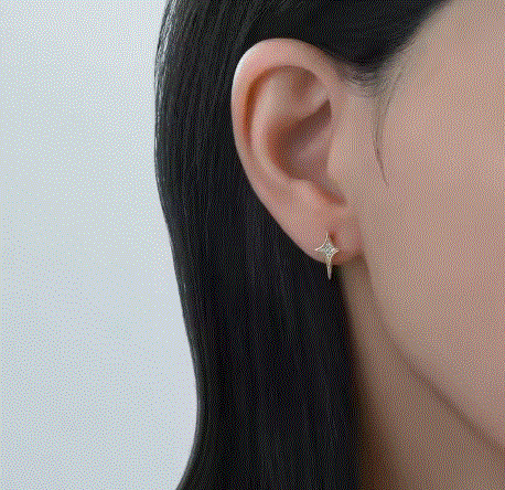 Women's Star Earrings - Describings